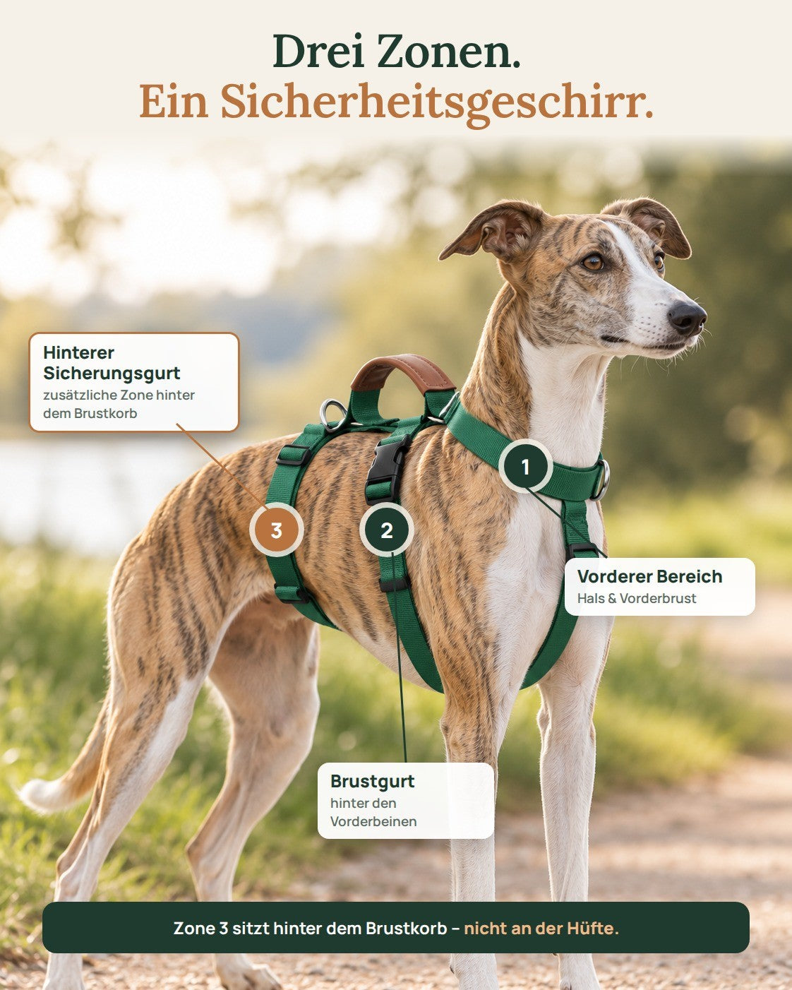 Hundegeschirr